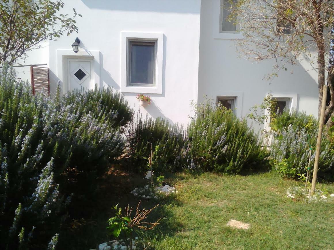 Apartments Lovor Silba Exterior photo