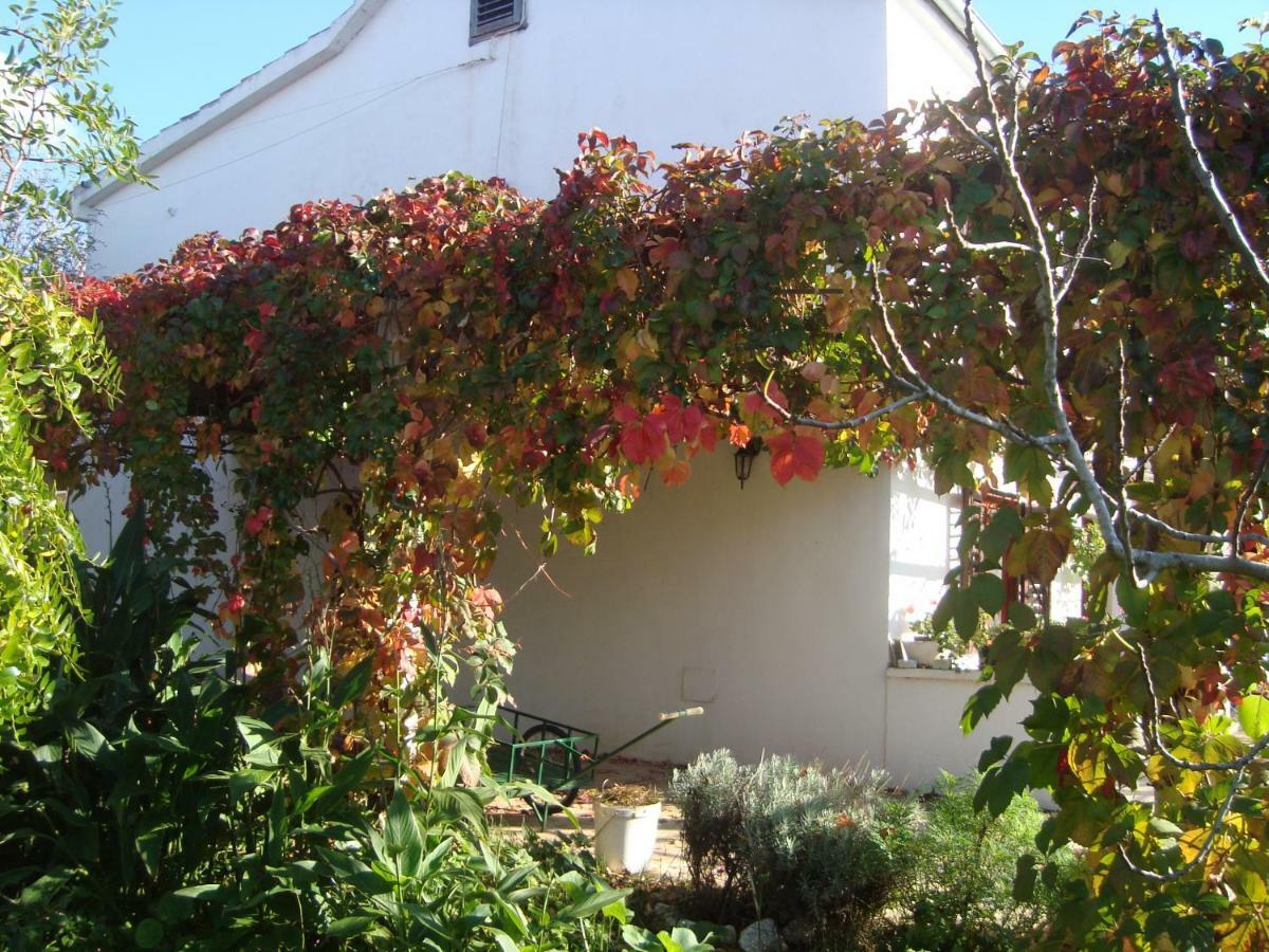 Apartments Lovor Silba Exterior photo