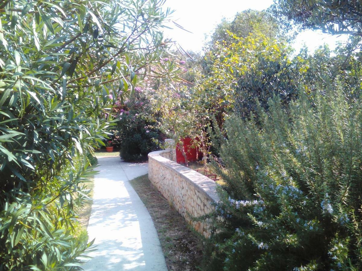 Apartments Lovor Silba Exterior photo
